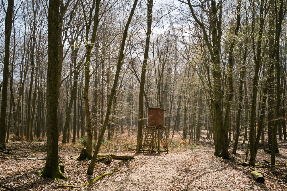  Wald 04